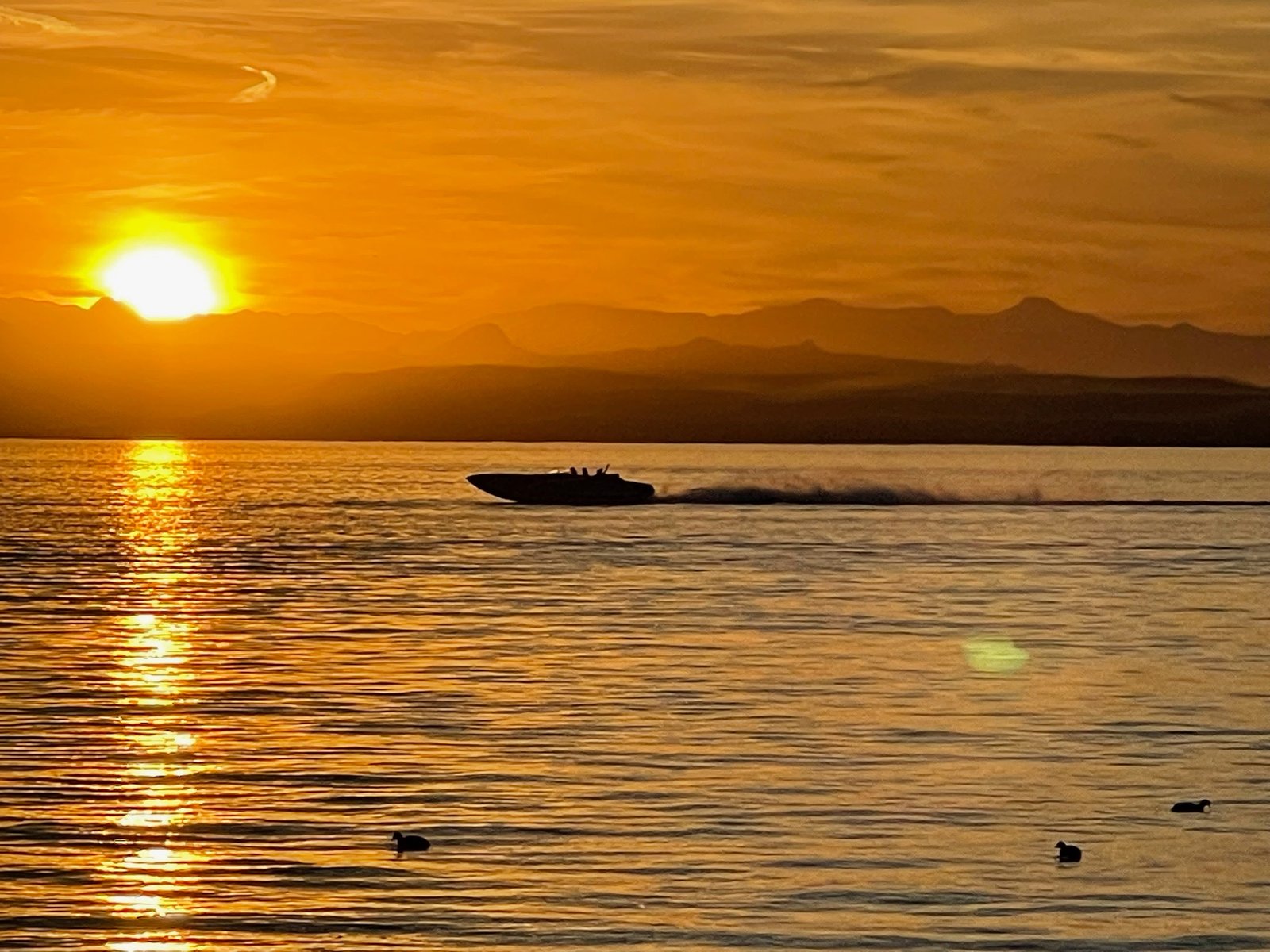 Home lake havasu event rentals cover